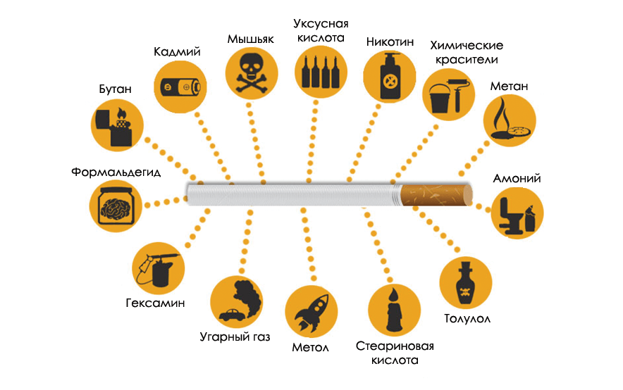 image4.png image4.png