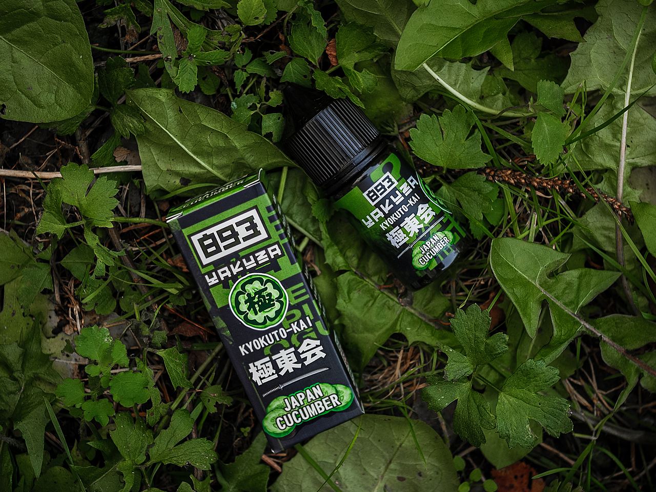 YAKUZA — Самурайский дух5