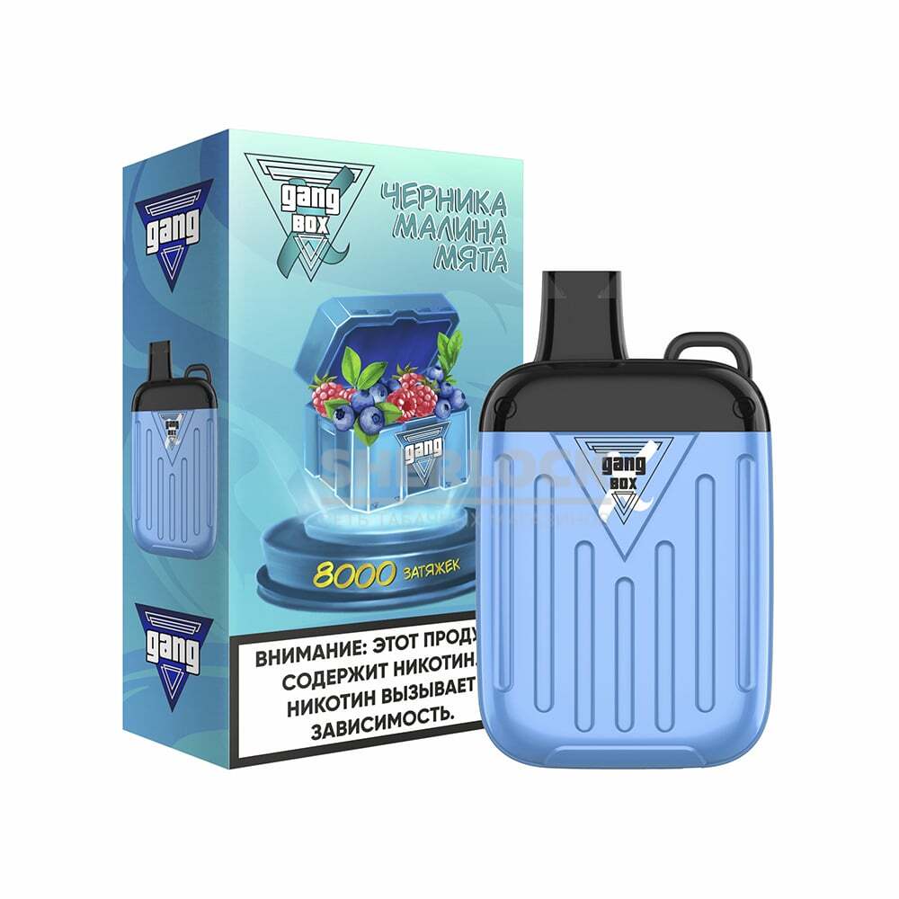 Электронная сигарета GANG XBOX 8000 (Черника малина мята) Электронная сигарета GANG XBOX 8000 (Черника малина мята)