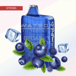 Электронная сигарета PuffMi DURA V2 9000 (Микс ягод лёд)