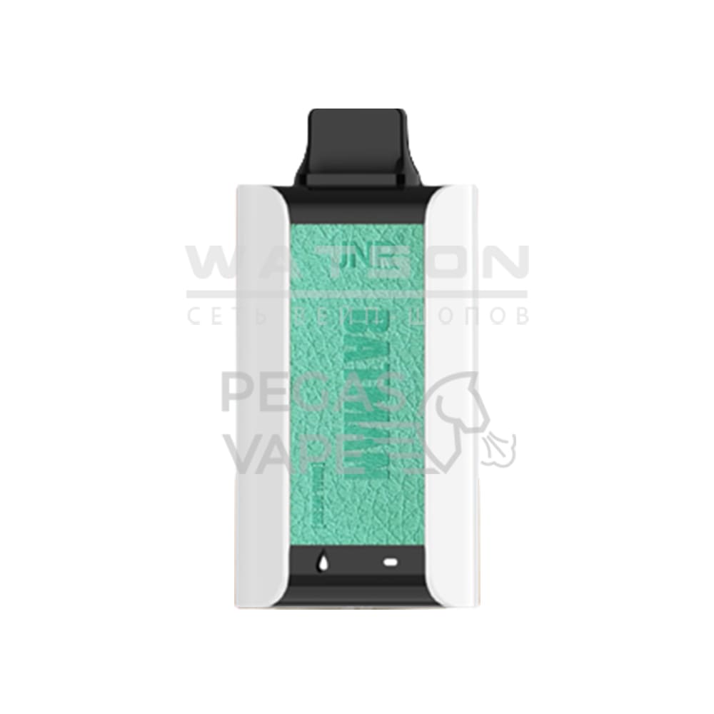 Электронная сигарета JNR PA 11000 (Виноград яблоко)