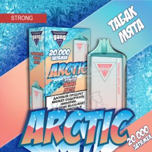 Электронная сигарета GANG ARCTIC 20000 (Табак с мятой)