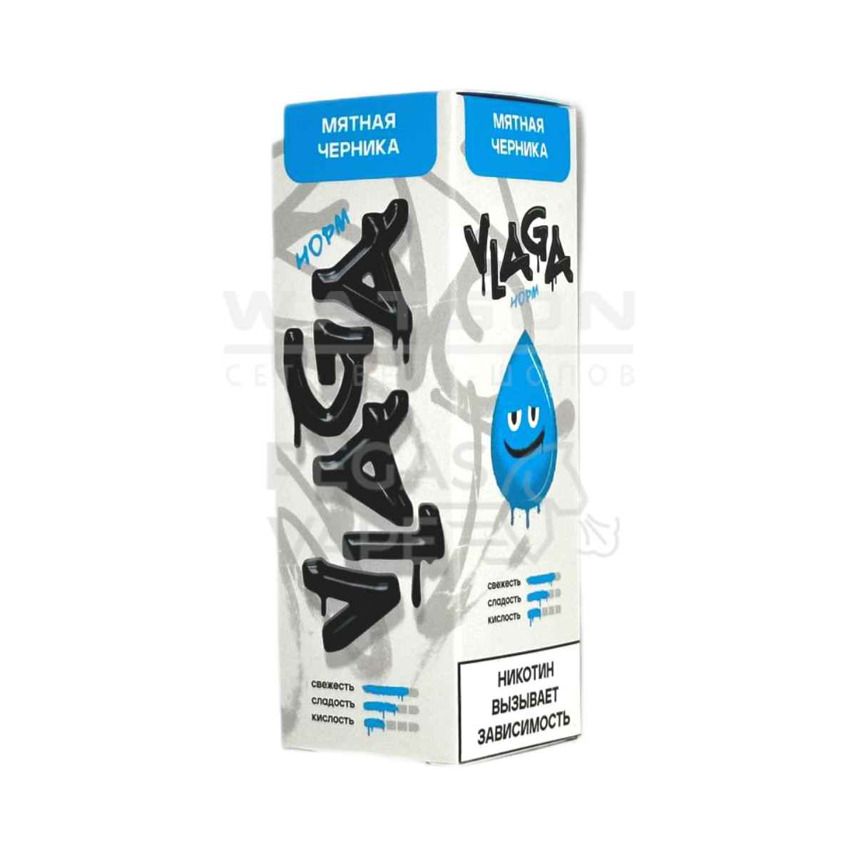 Жидкость VLAGA NORM (Мятная черника) 30 мл 2% (20 мг/мл)