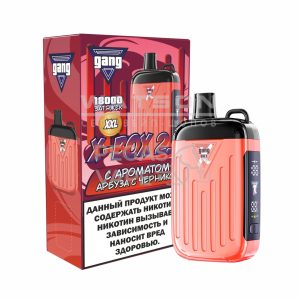 Электронная сигарета GANG XBOX 2.0 18000 (Арбуз Черника)