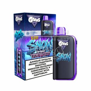 Электронная сигарета GANG SNOW 21000 (Холодный компот из сухофрукт)